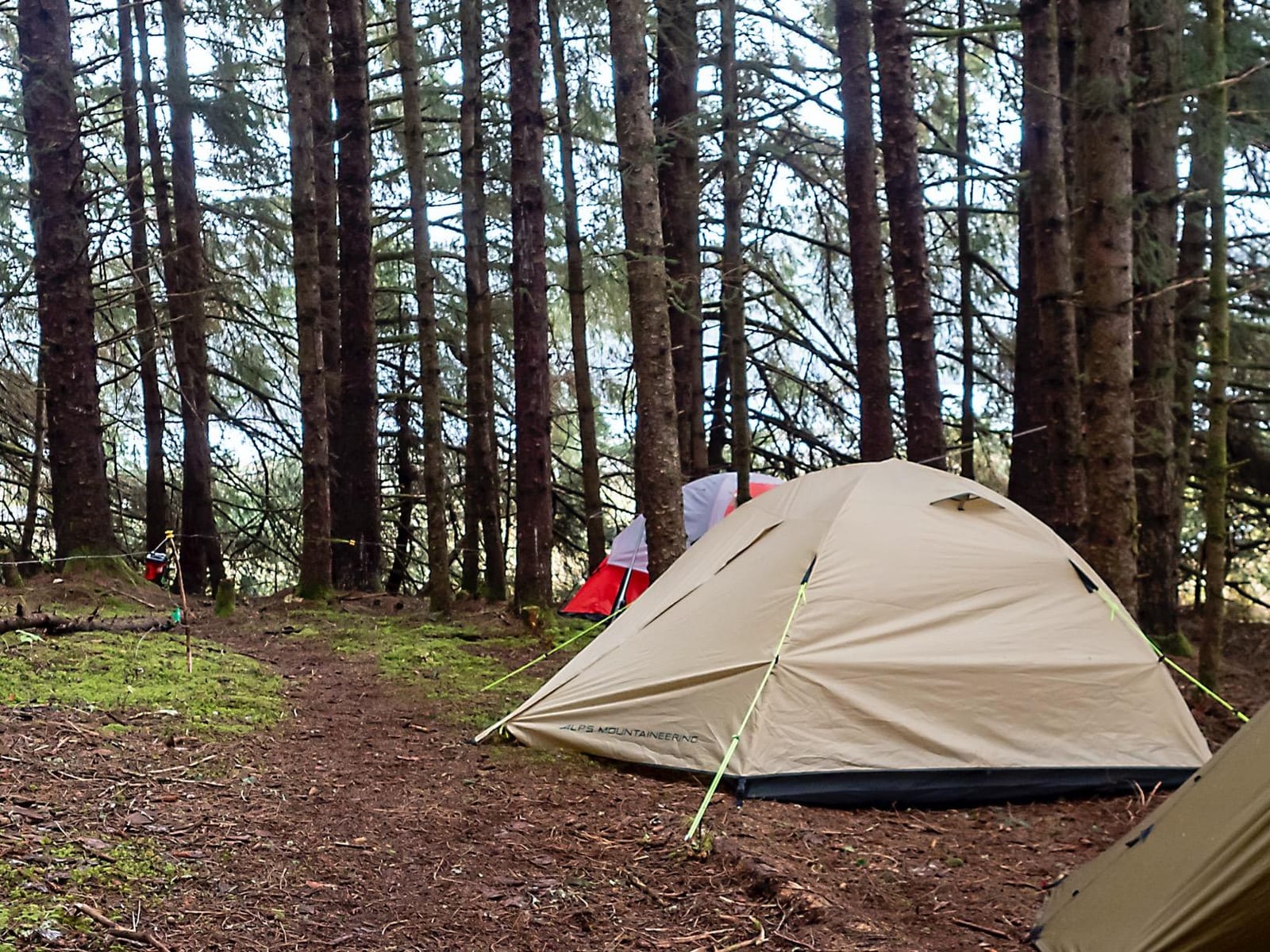 ALPS Mountaineering Taurus 4 Outfitter Tent - Heavy-Duty Four Person Camping Tent, Spacious, Rugged and Weatherproof/Built to Last, Reliable Outdoor Camping customer photo 1