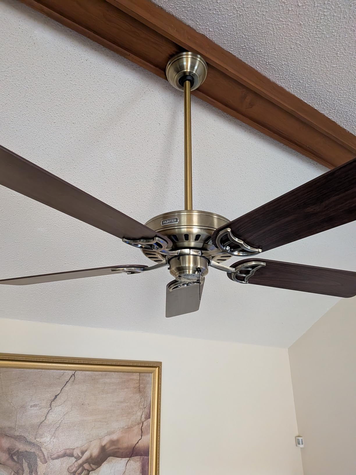 Hunter Studio Series, Indoor, Ceiling Fan, Quiet, 52 inch, Antique Brass | with LED Lights and Pull Chain, Standard Mount, 5 Blades, For Bedroom, Living Room, Kitchen, 53063 customer photo 1