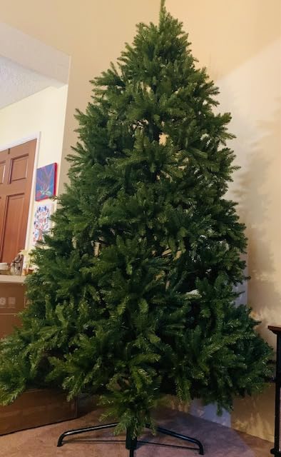 National Tree Company 12ft Unlit Dunhill Fir Artificial Full Christmas Tree | 7,794 Tips, Includes Stand, Green customer photo 2