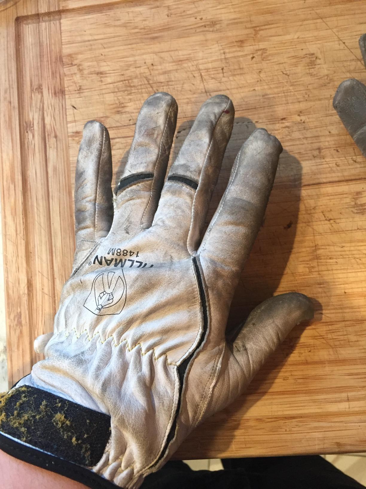 Tillman Medium 11
