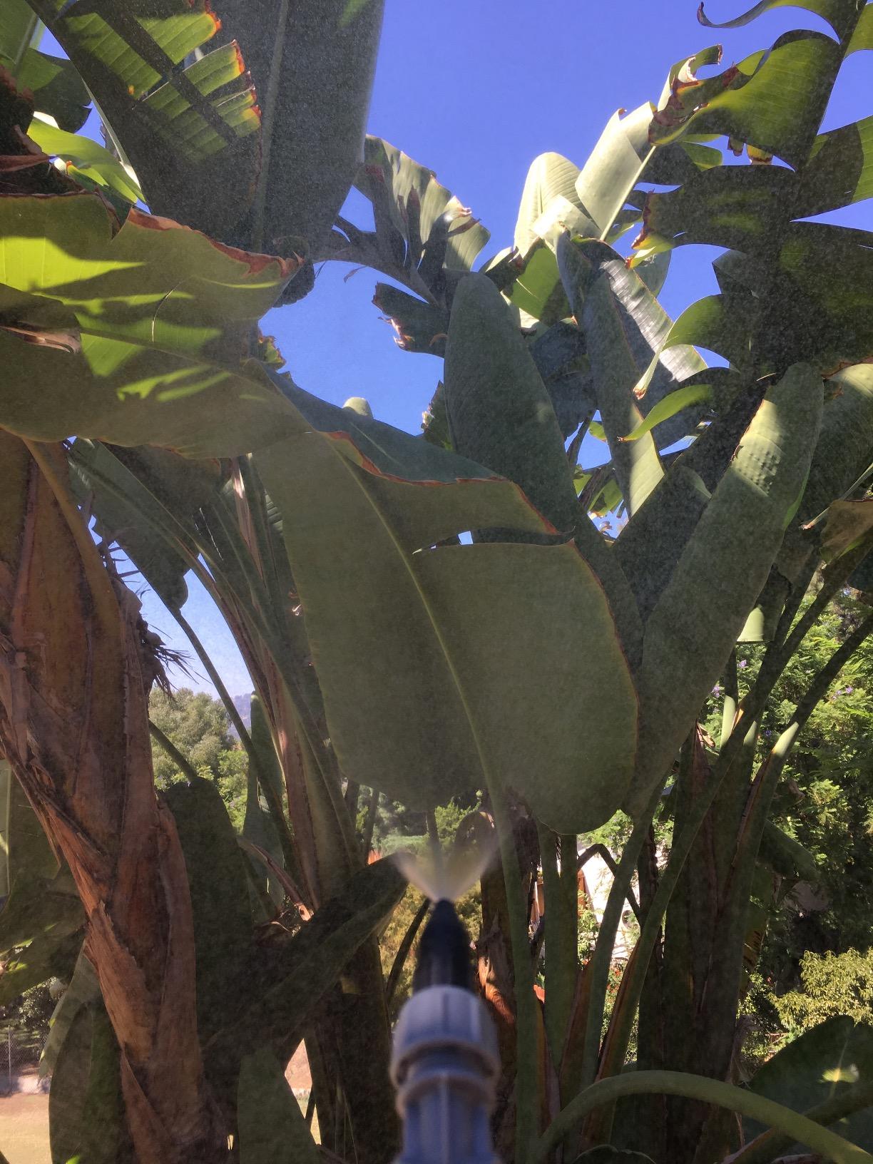 Roundup 190314 Backpack Sprayer for Fertilizers, Herbicides, Weed Killers & Insecticides, 4 Gallon customer photo 1