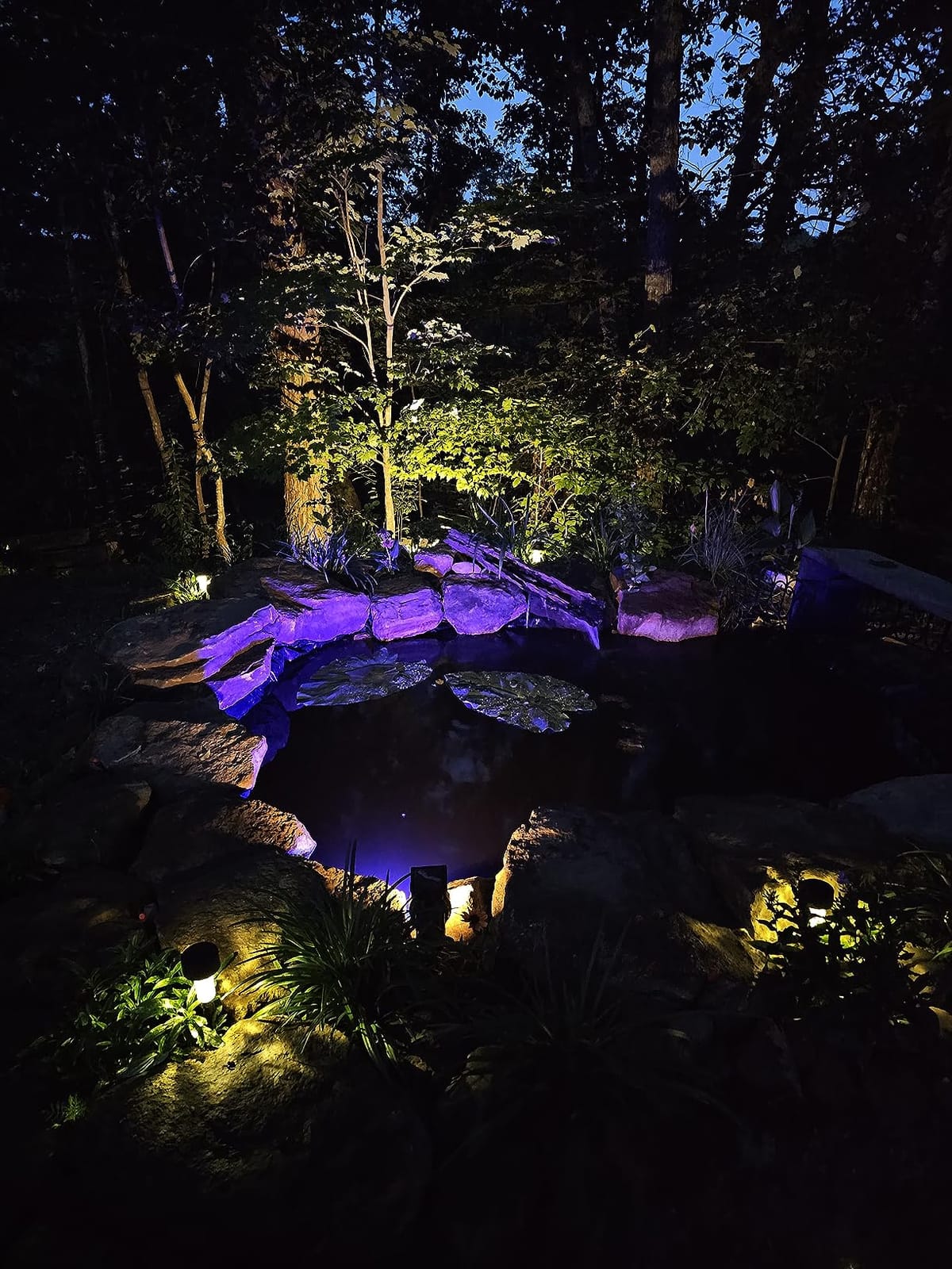 Beckett Corporation Flexible Pre-Cut PVC Liner - Ideal for Small Ponds, Koi Ponds, Water Gardens, and Fountains - 8 Foot x 10 Foot, Black, 8 Foot x 10 Foot Pond Liner - customer photo 1