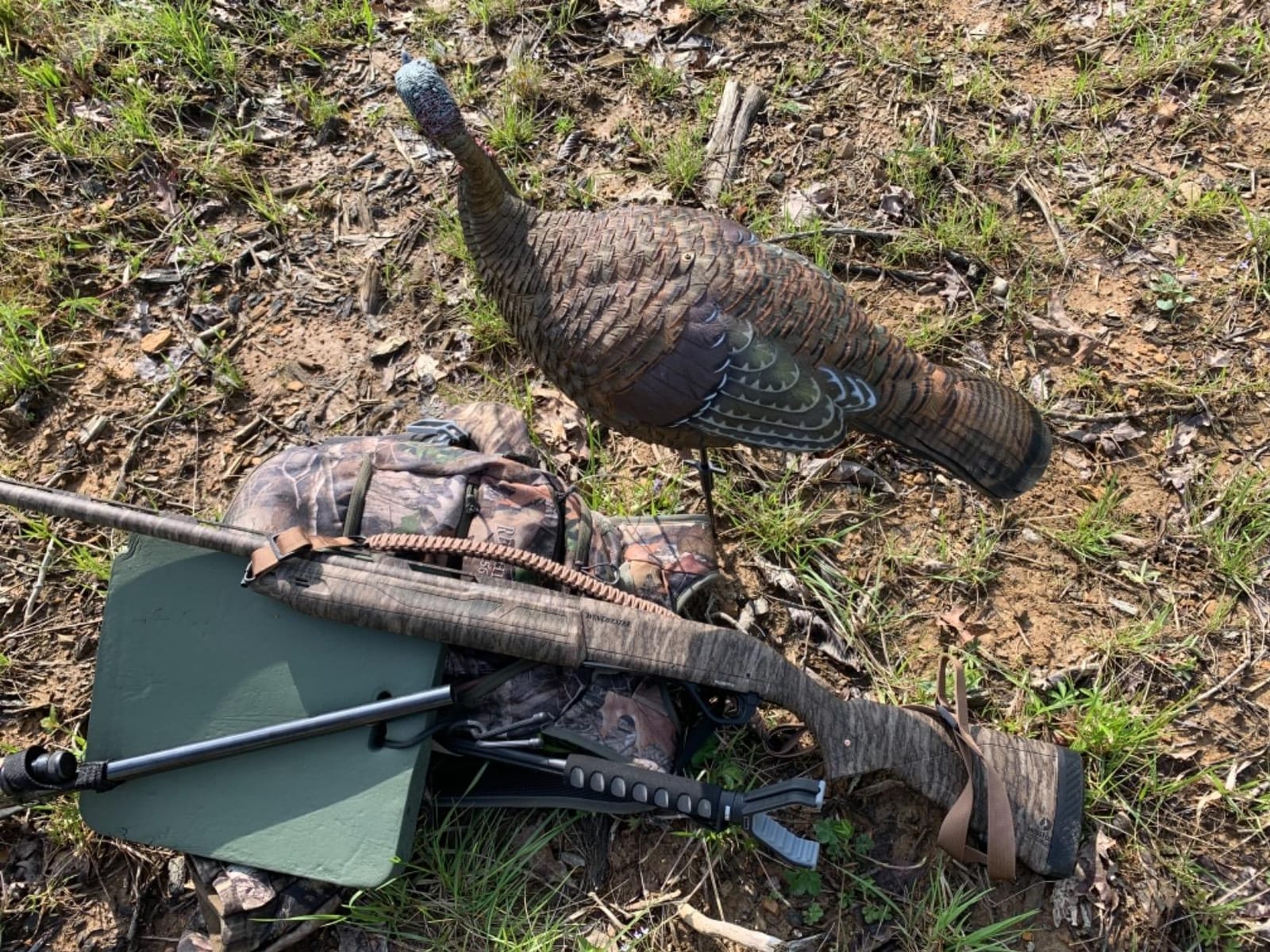 Avian X LCD Lookout Hen Turkey Decoy customer photo 1