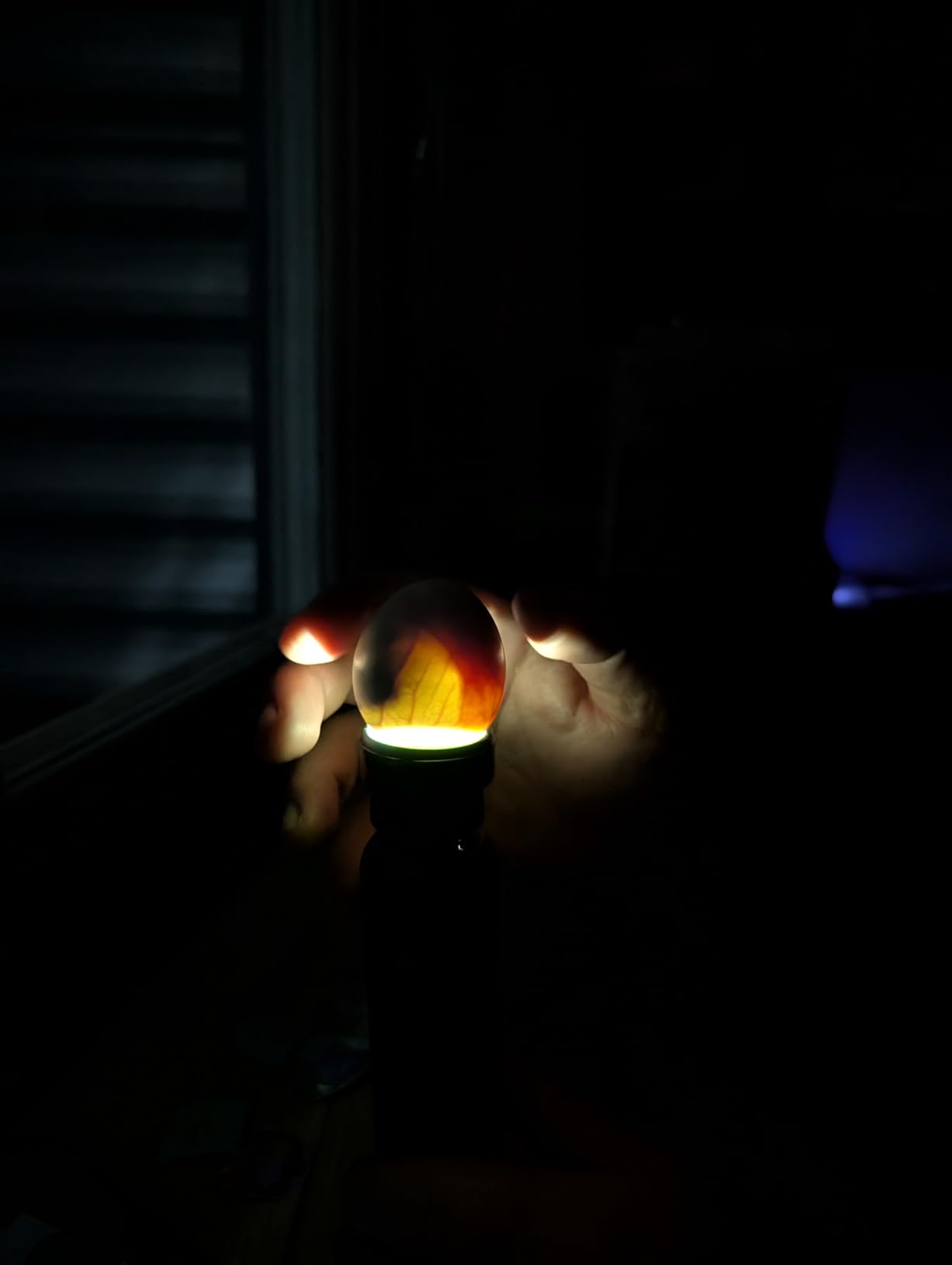 Magicfly Bright Cool LED Light Egg Candler Tester, Powered Only by Power Supply customer photo 2