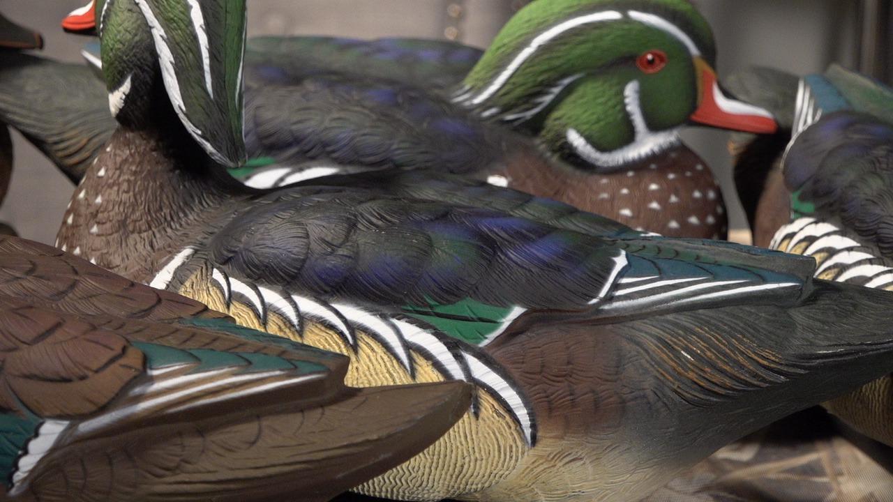 Avian X Topflight Realistic Floating Wood Duck Decoys with Weight-Forward Swim Keel, Set of 6 (Multicolor) customer photo 2