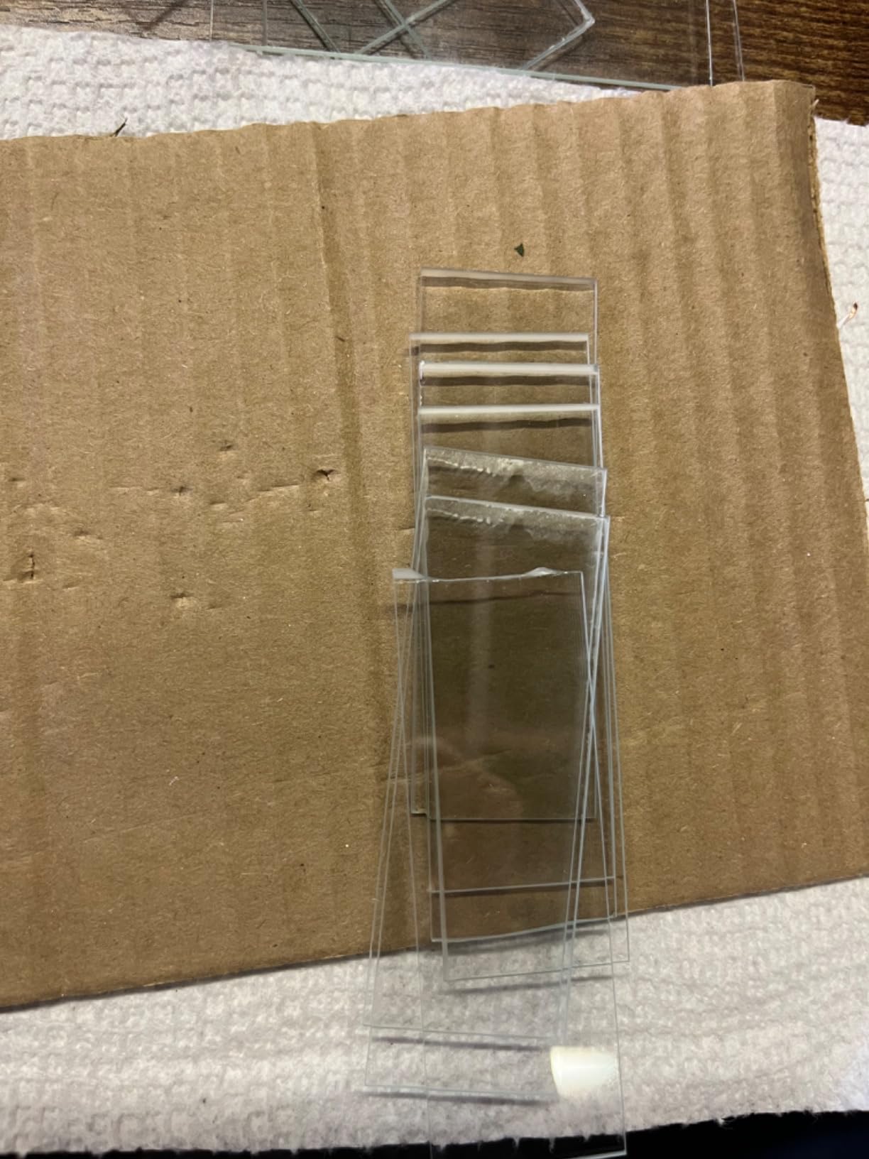 AmScope BS-50P-100S-22 Rectangular Blank Slides + Cover Slips 50/100 Count customer photo 1