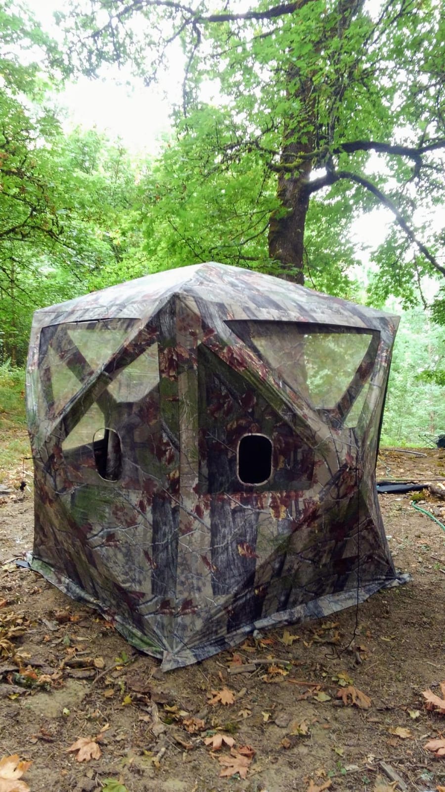 Barronett Big Cat Ground Hunting Blind, 3 Person Pop Up Portable, Backwoods Camo BC350BW customer photo 1