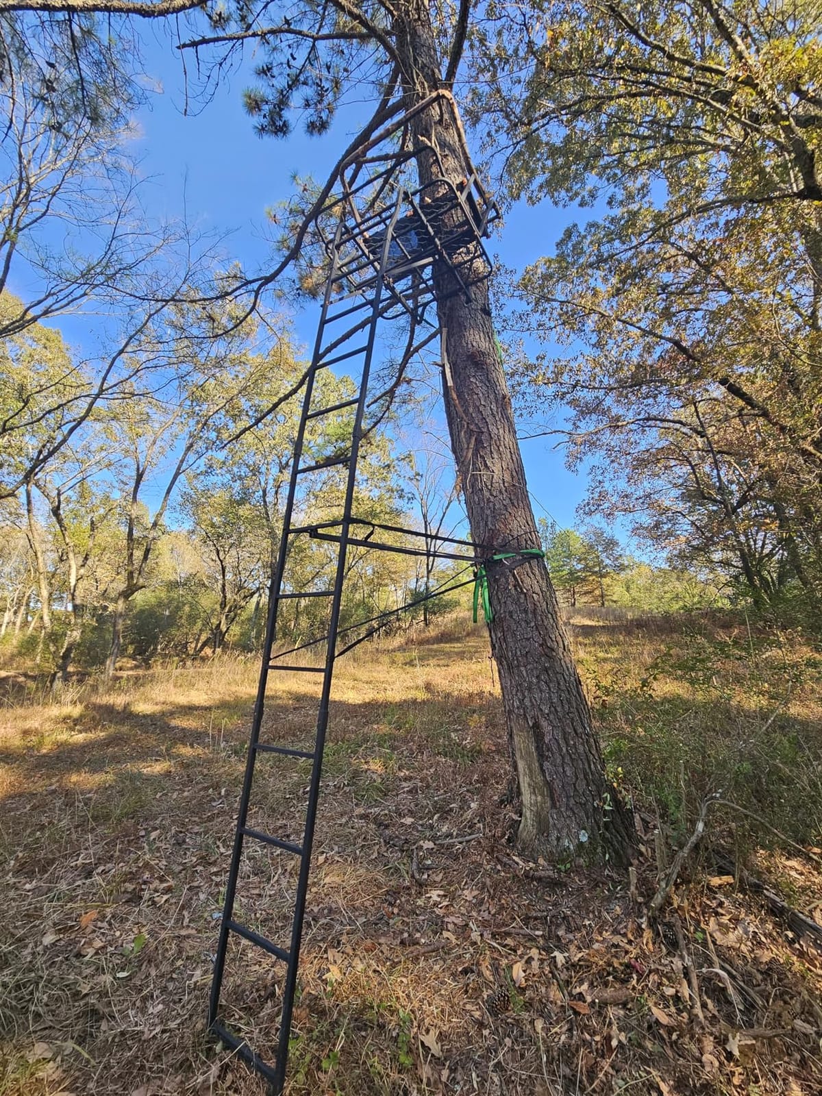 Muddy 2-Person Ladder Tree Stand for Deer Hunting, 17' Tall, Black | The Partner - Adjustable Climbing Treestand with Platform, Straps and Safety Harness for Shooting customer photo 1
