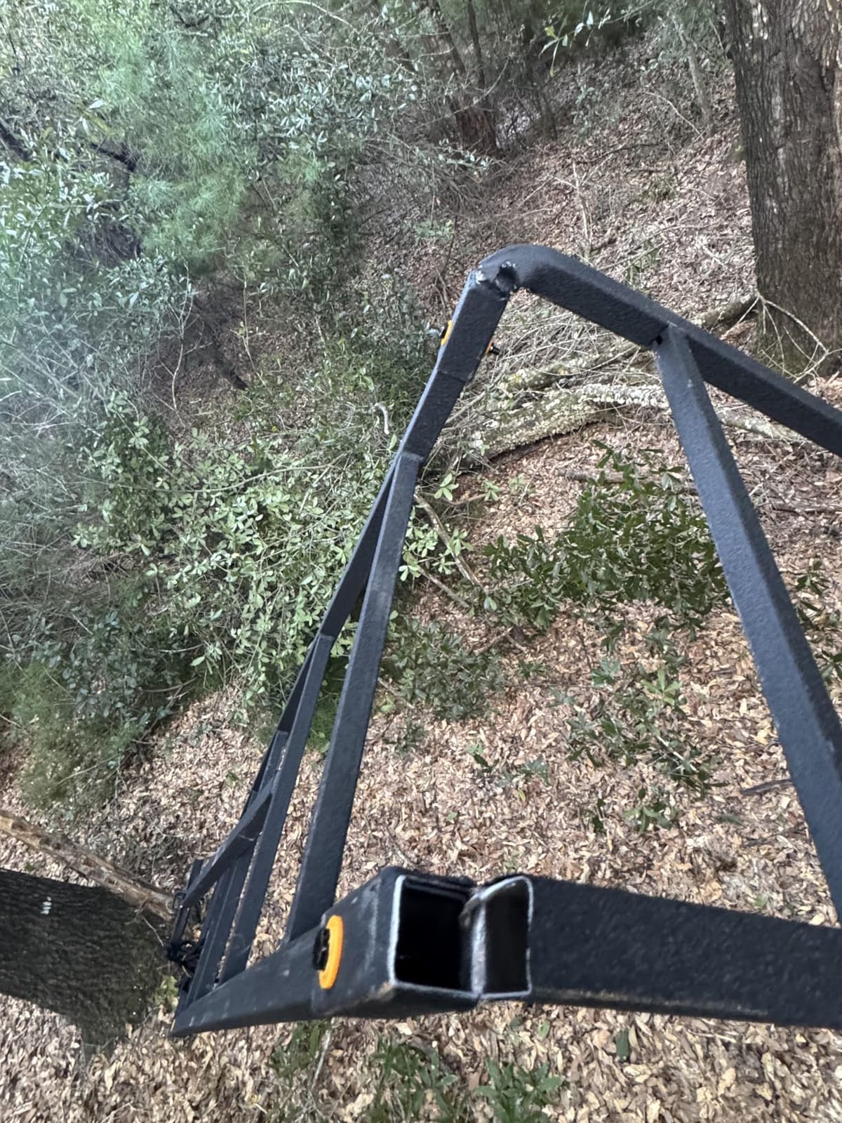 Muddy 2-Person Ladder Tree Stand for Deer Hunting, 17' Tall, Black | The Partner - Adjustable Climbing Treestand with Platform, Straps and Safety Harness for Shooting customer photo 2