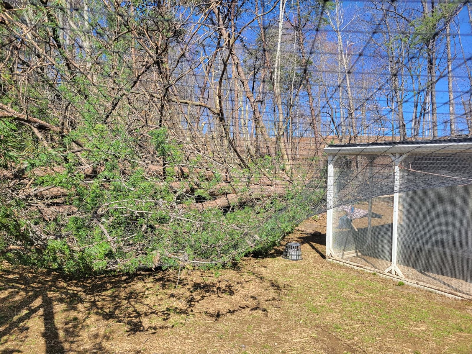 Aviary Netting Heavy Knotted 2 inch Poultry Net (25 ft x 50 ft) customer photo 2