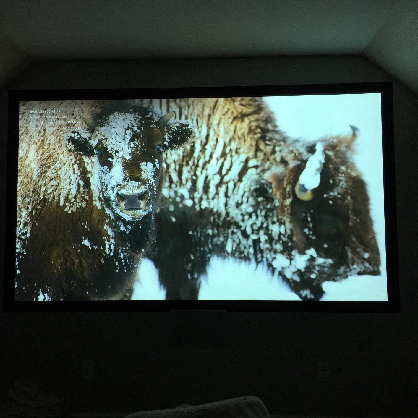 Epson Home Cinema 2040 1080p 3D 3LCD Home Theater Projector customer photo 1