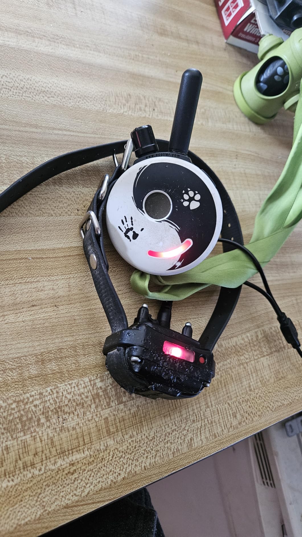 Educator ET-300 Mini E Collar for Dog Training with Remote - 1/2 Mile Range, Waterproof, 100 Blunt Stimulation Levels, Tone or Vibration Mode, Night Light Tracking for Small, Medium & Large Dogs customer photo 2