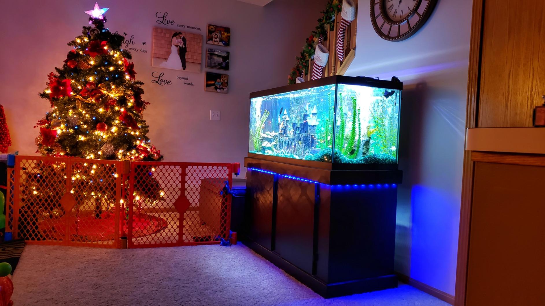 BASON LIGHTING TV Backlight, Music Sync Bluetooth LED TV Lights for 55-65