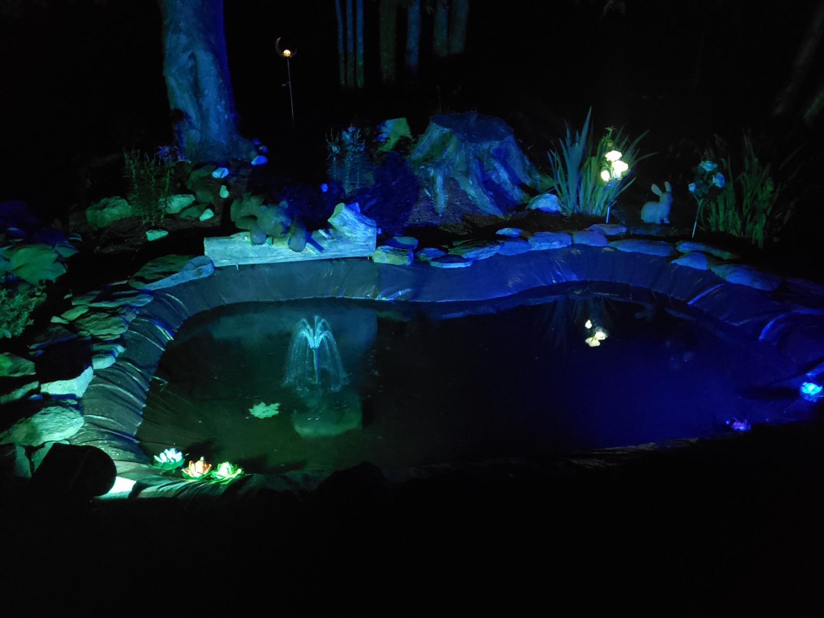 Pond Kit Water Garden Fountain KOI Pond KIT Liner & Pump 9' X 6' Liner & 5 Water Lilies customer photo 1