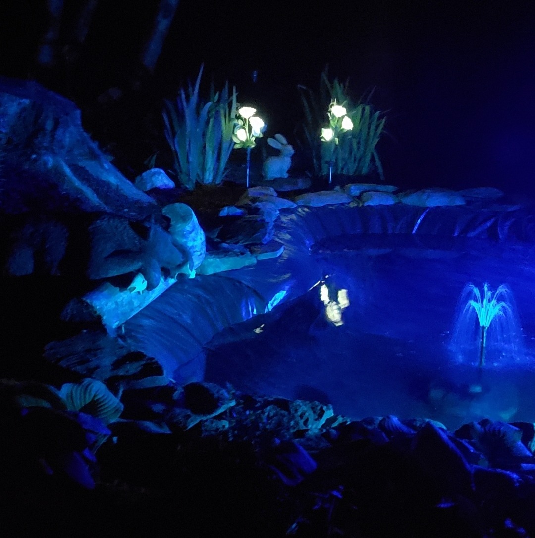 Pond Kit Water Garden Fountain KOI Pond KIT Liner & Pump 9' X 6' Liner & 5 Water Lilies customer photo 2
