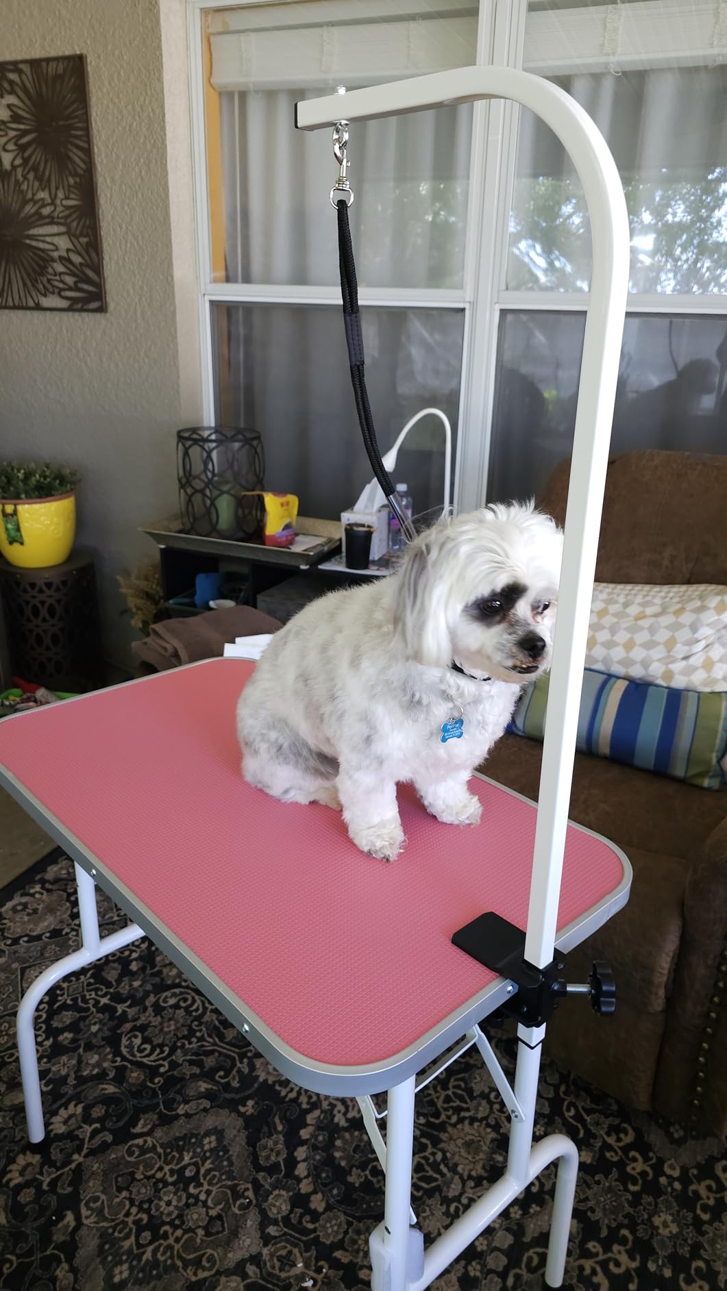 Yaheetech 32 Inch Sturdy Dog Grooming Table for Home, Black | Foldable Dog Grooming Table for Small Medium Dogs, 220lb Capacity, Adjustable Grooming Arm, Non-Slip Surface, No-tool Setup customer photo 1