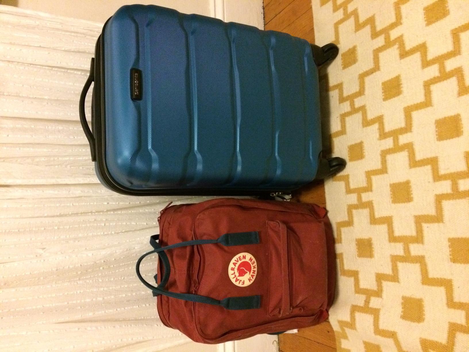 Omni PC Hardside Expandable Luggage with Spinner Wheels, Navy, Checked-Large 28-Inch customer photo 1