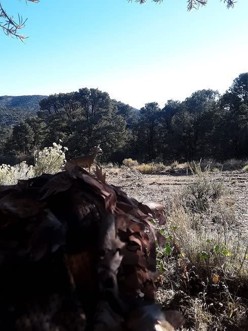 North Mountain Gear Ghillie Suit - Camo Hunting Suit - 3D Leafy Suit - Woodland Camouflage Jacket & Pants - Breathable customer photo 2