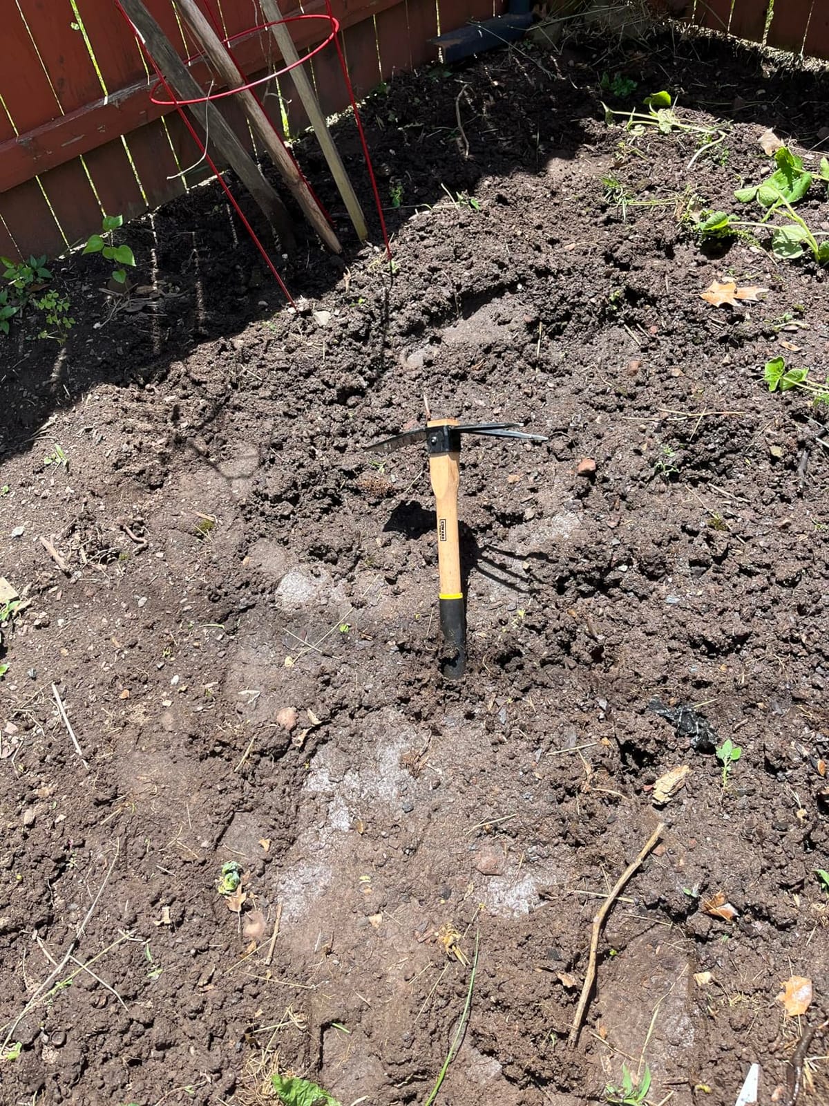 Edward Tools Hoe and Cultivator Hand Tiller - Carbon Steel Blade - Heavy Duty for loosening Soil, Weeding and Digging - Rubber Ergo Grip Handle - Rust Proof customer photo 1