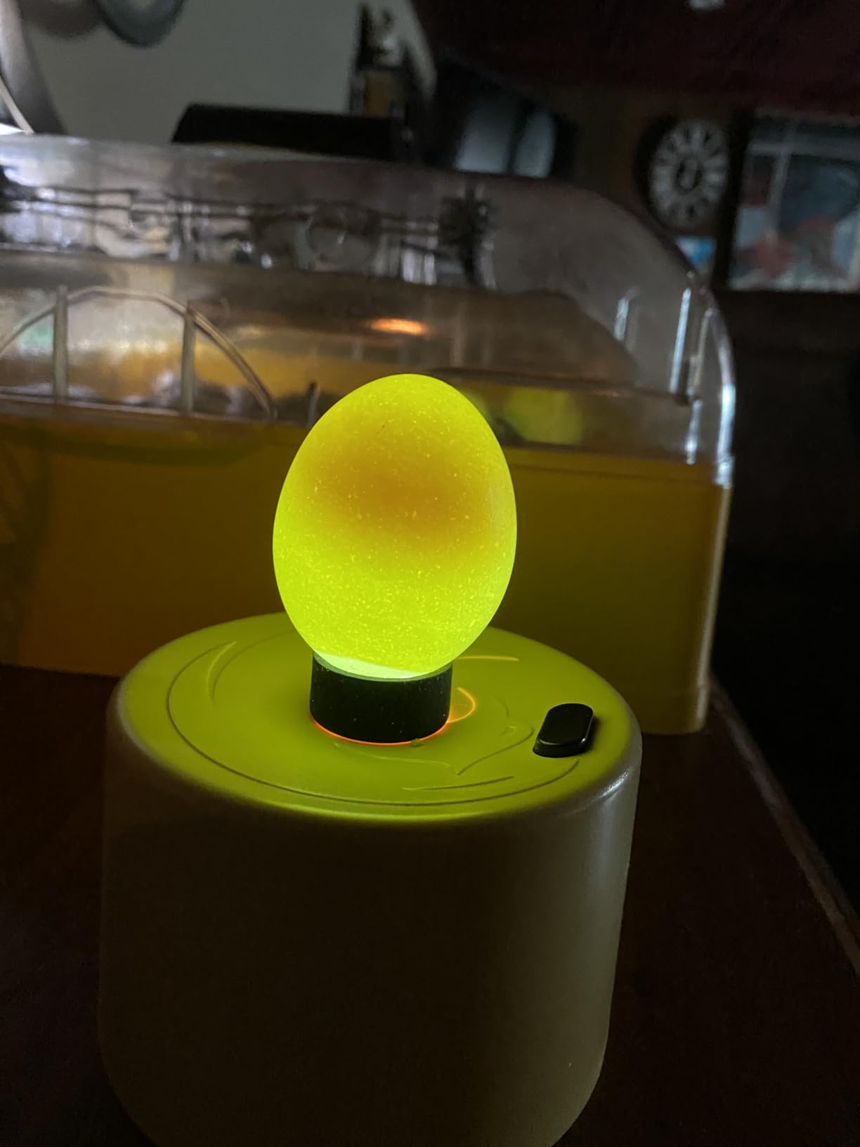 Titan Incubators High Intensity LED Chicken Egg Candler/Tester – Battery Powered customer photo 1
