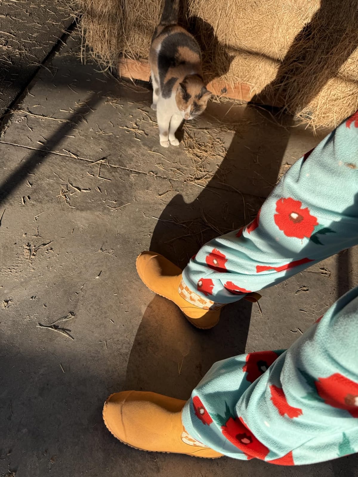 MUCK Women's Originals Ankle Boot customer photo 1
