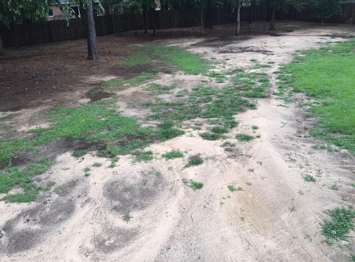 Liquid Soil Loosener- Soil Conditioner-Use alone or when Aerating with Mechanical Aerator or Core Aeration- Simple Lawn Solutions- Any Grass Type-Great for Compact Soils, Standing water, Poor Drainage customer photo 2