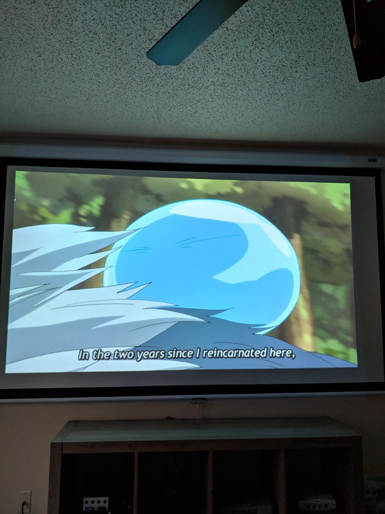 Epson VS250 SVGA 3,200 Lumens Color Brightness 3LCD Projector customer photo 1
