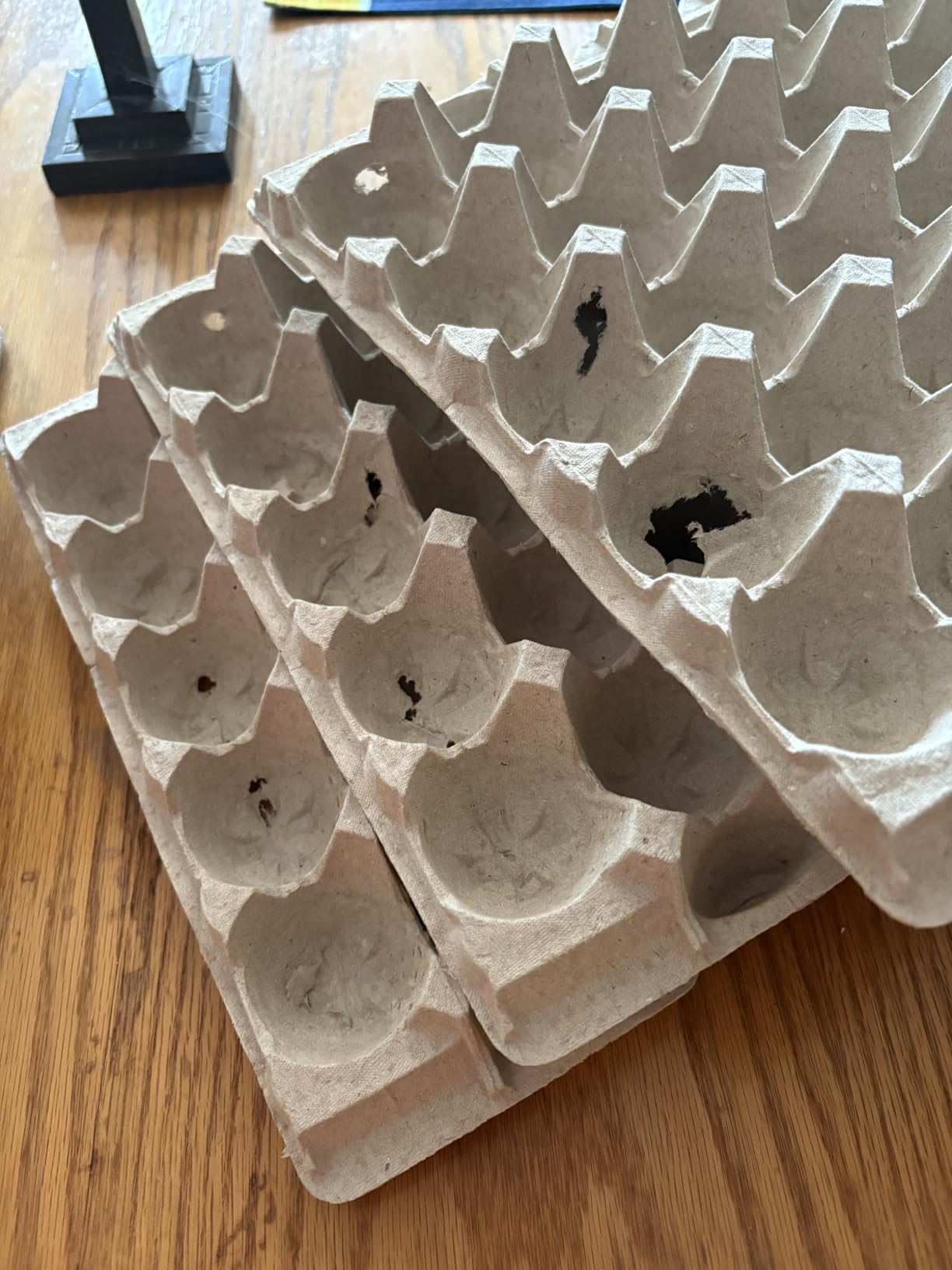 Biodegradable Pulp Fiber Egg Flats - 15 Pieces for Storing up to 30 Large or Small Eggs/Egg Crates That Make a Great Home for Roach Colony by MT Products customer photo 1