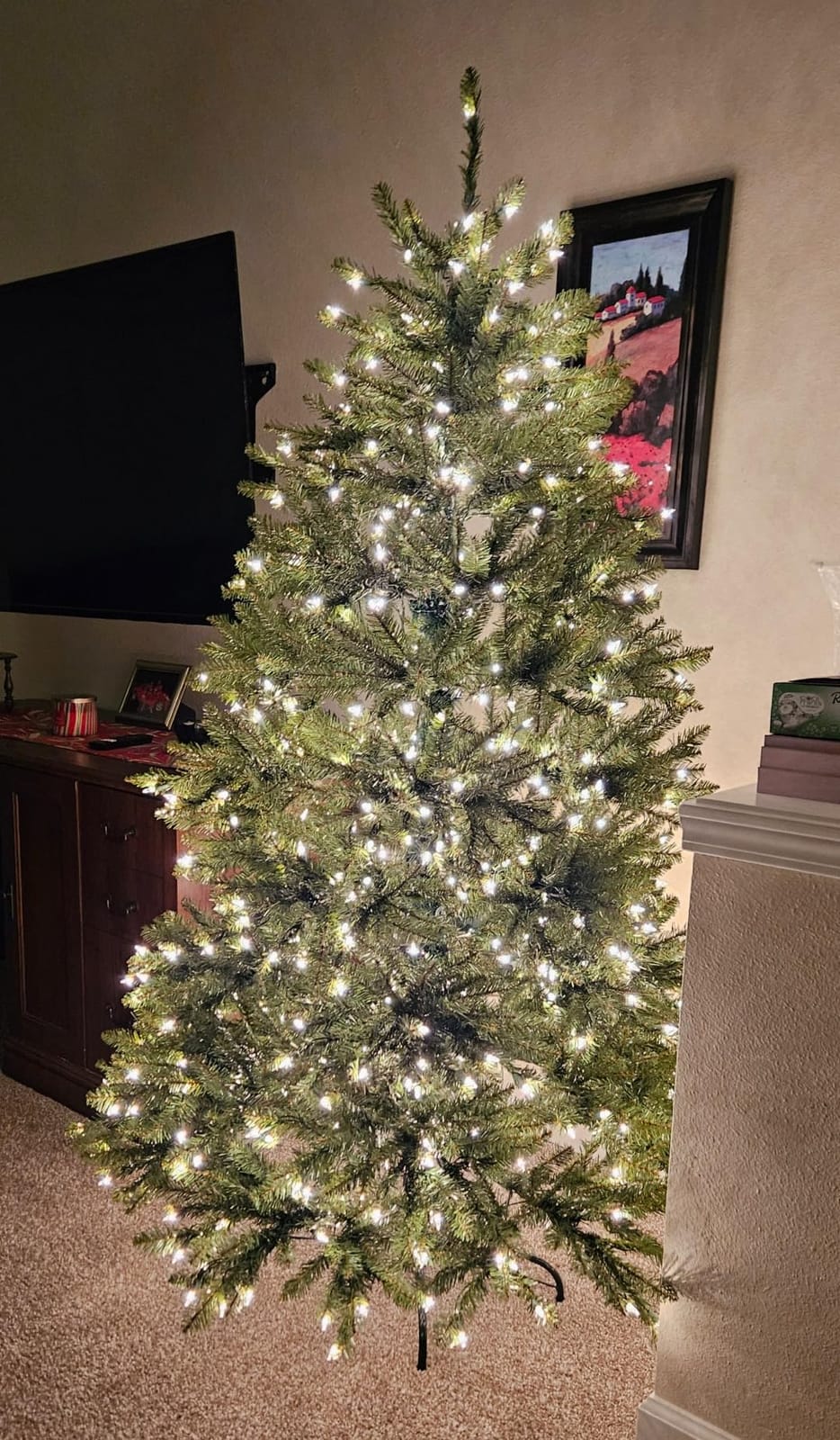 National Tree Company 6ft Pre-Lit Dunhill Fir Artificial Christmas Tree | 600 Clear Lights, 1,430 Tips, Includes Stand, Green customer photo 2