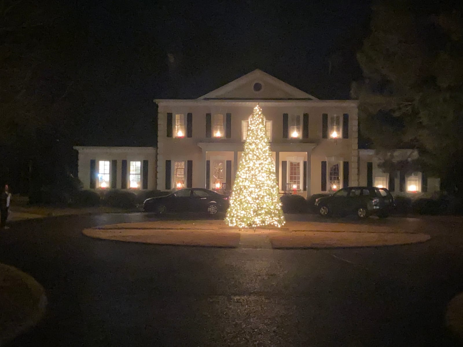 National Tree Company 16ft Unlit North Valley Spruce Christmas Tree | 7,491 Tips, Includes Stand, Artificial, Green customer photo 2