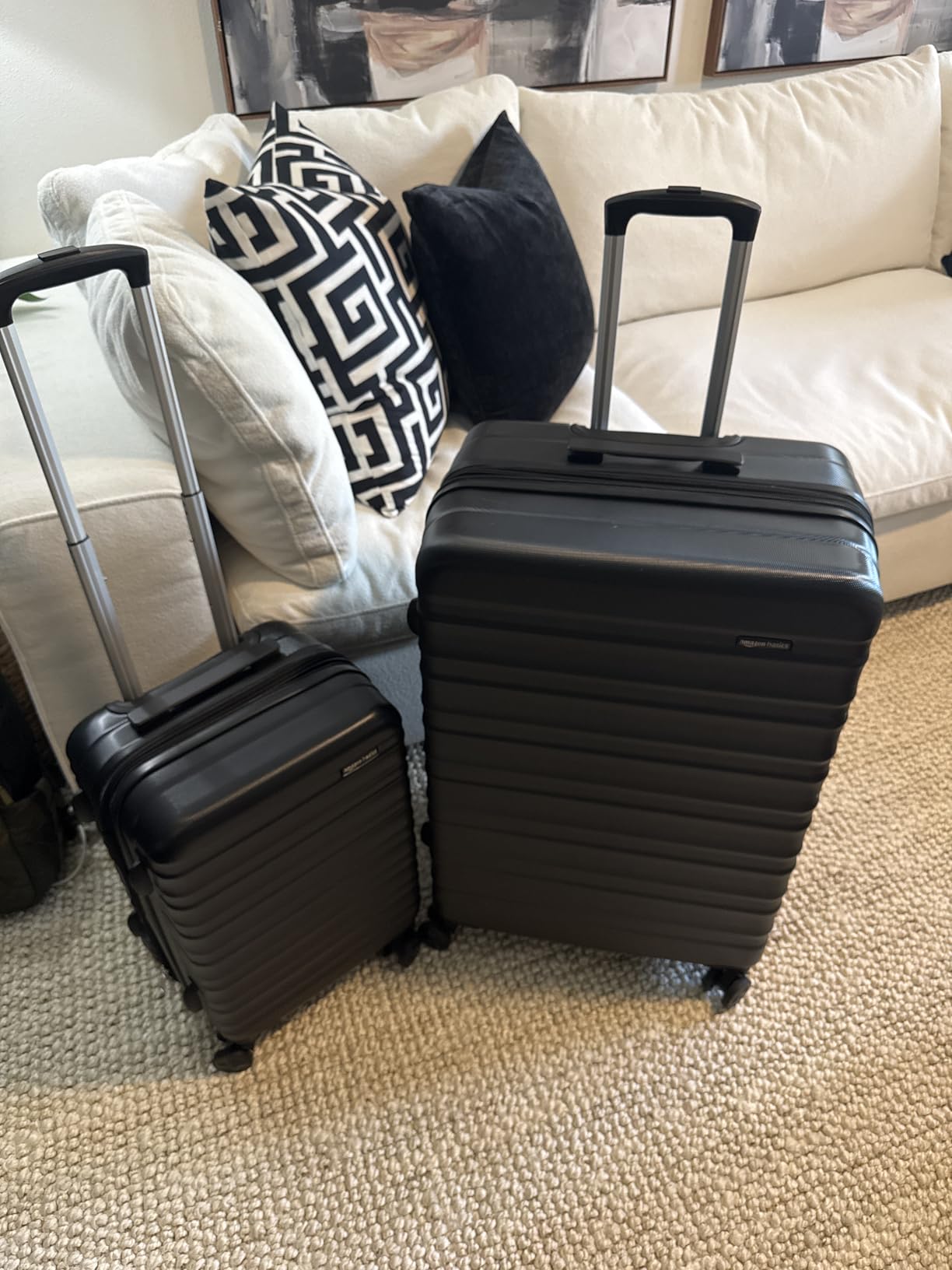 Amazon Basics 2-Piece Hardside Luggage Set (21