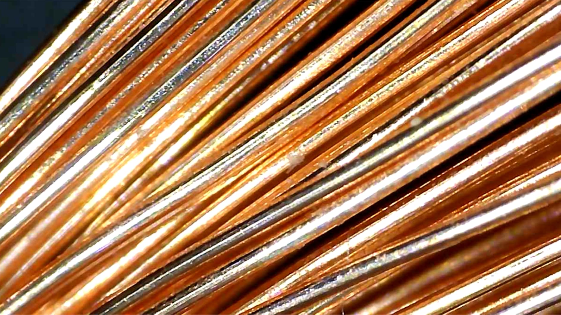 Amazon Basics 14-Gauge Audio Speaker Wire Cable for Audio Applications, 99.9% Oxygen-Free Copper, Color Coded, Insulated Jacket, 100-Foot, White customer photo 2