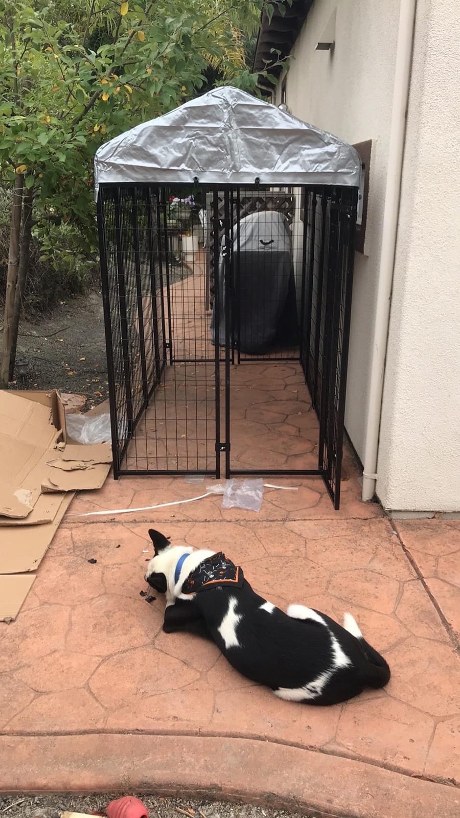 BestPet 8'x4'x6' Heavy Duty Outdoor Dog Kennel, Galvanized Welded Metal Dog Pen with UV-Resistant Waterproof Roof & Cover, Large Dog Playpen Crate Fence for Camping, Backyard customer photo 1