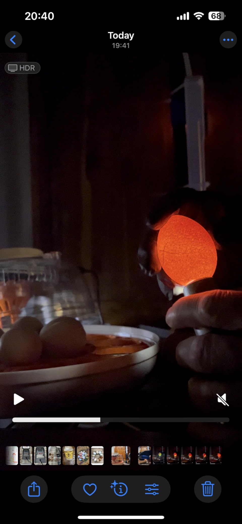 Incu-Bright™ Ultra Bright LED Egg Candler - Portable Light for All Egg Size customer photo 2