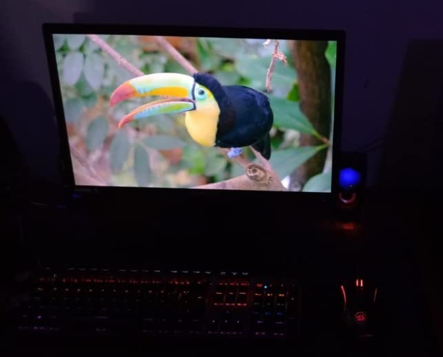 Sceptre New 22 Inch FHD LED Monitor 75Hz 2X HDMI VGA Build-in Speakers, Machine Black (E22 Series), 1920 x 1080 Pixels customer photo 2
