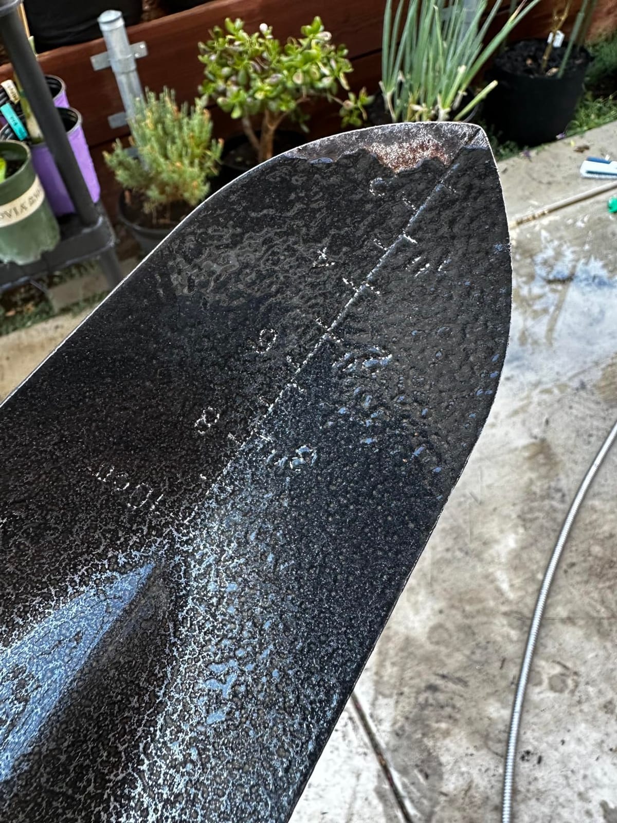 Edward Tools Garden Trowel - Heavy Duty Carbon Steel Garden Hand Shovel with Ergonomic Grip - Stronger Than Stainless Steel - Depth Marker Measurements for More consistent Planting customer photo 1