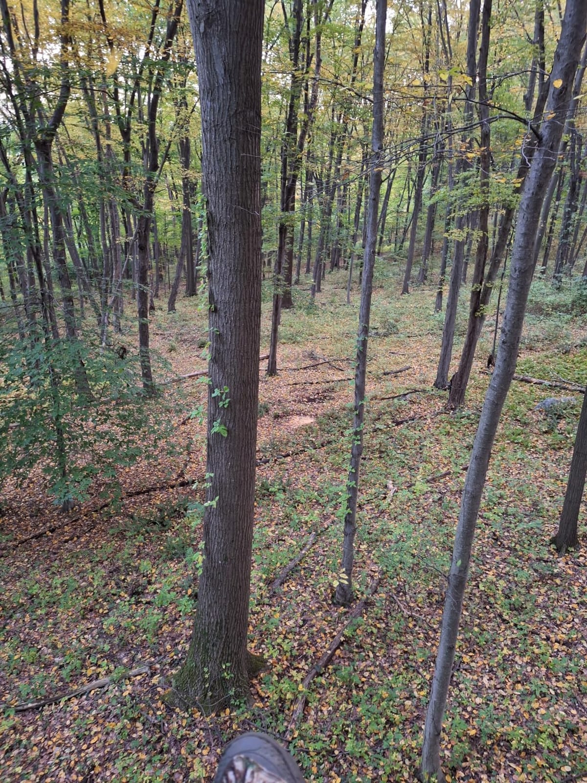 Muddy The Boss XL Wide Stance Hang-On Tree Stand Platform & Hawk Helium Set customer photo 2