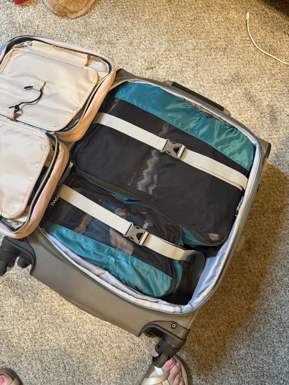 Travelpro Maxlite 5 Softside Checked Luggage Spinner, Green, 25-Inch customer photo 2