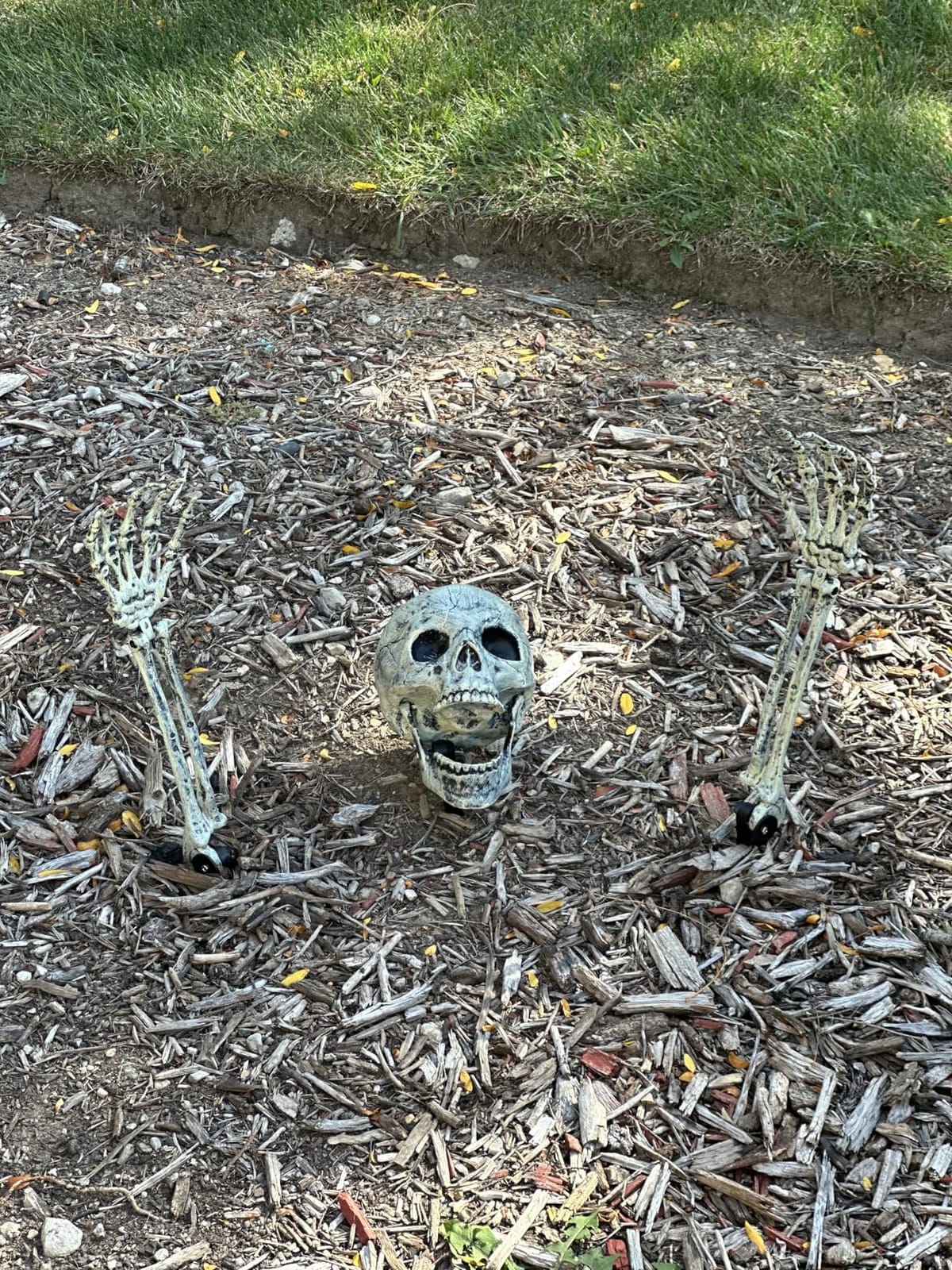 AISENO Realistic Skeleton Stakes Halloween Decorations for Lawn Stakes Garden Halloween Skeleton Decoration Outdoor customer photo 1