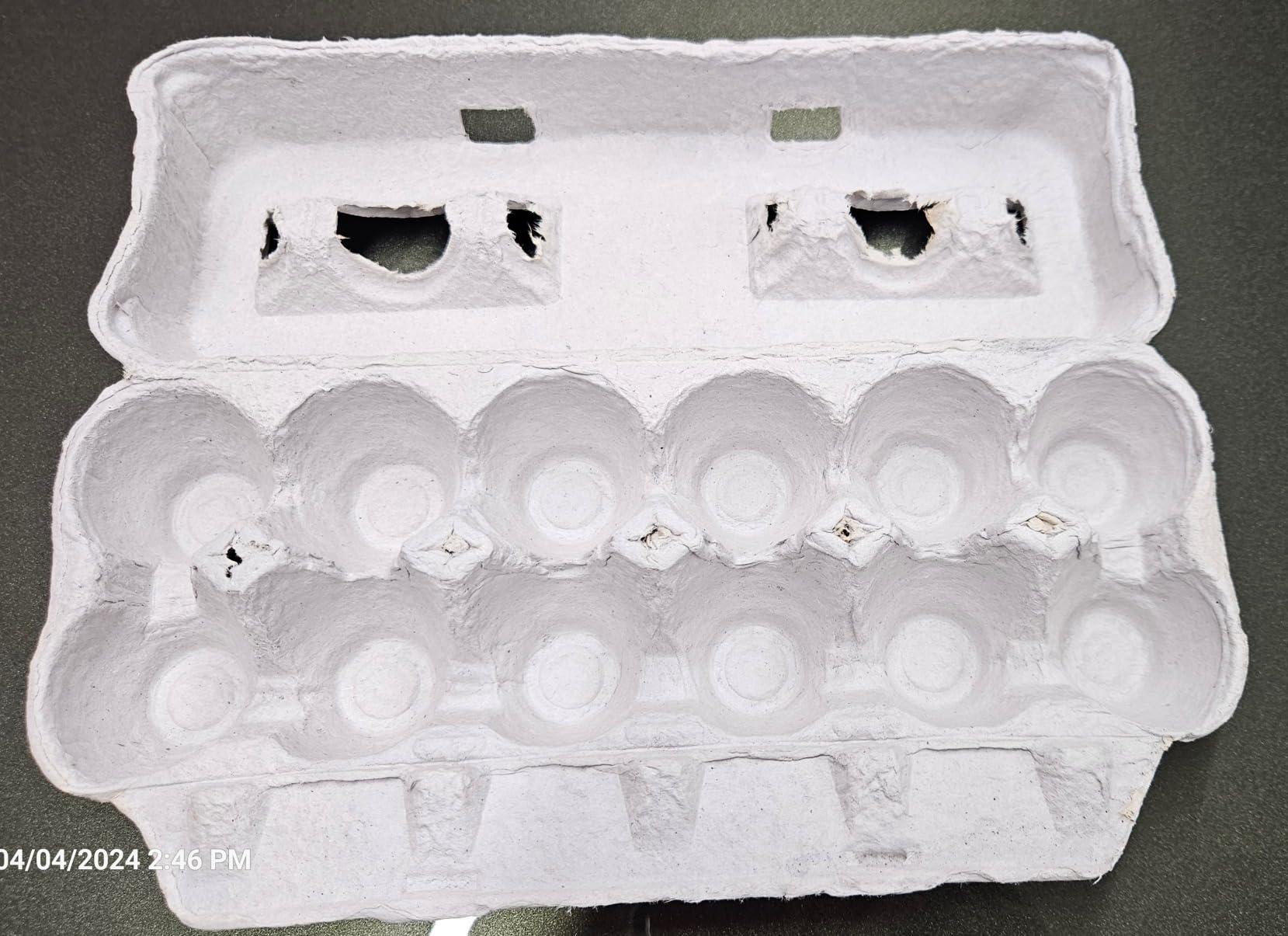 Printed Farm Fresh Egg Cartons - Holds Up to XL Chicken Eggs (25, Hen) customer photo 1