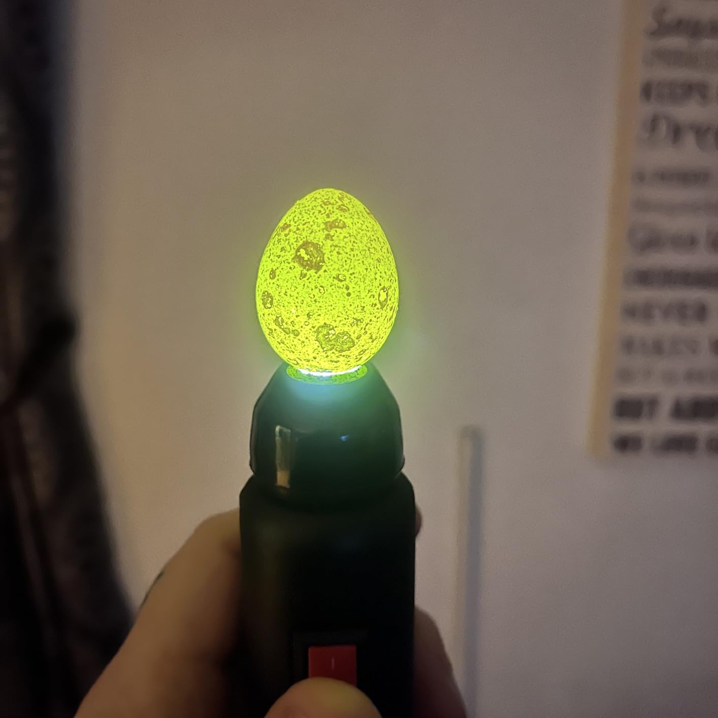 HBlife Wired LED Egg Candler, Bright Cool Light Egg Candler Tester for Monitoring Egg Development with 2 Soft Rubber customer photo 1