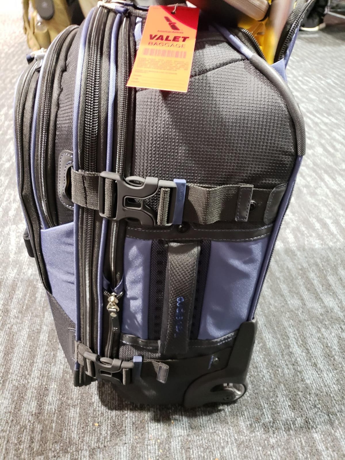 Travelpro Bold Softside Checked Rollaboard, Grey/Black, 28-Inch customer photo 2
