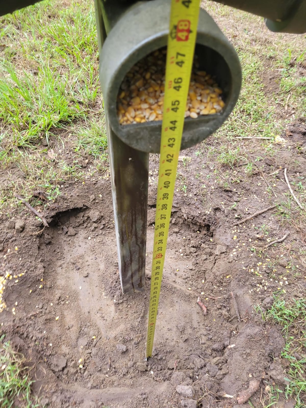 Banks Outdoors Gravity Fed Post Mounted Weatherproof Feed Bank Deer and Game Hunting Feeder with 150 Pound Capacity customer photo 2