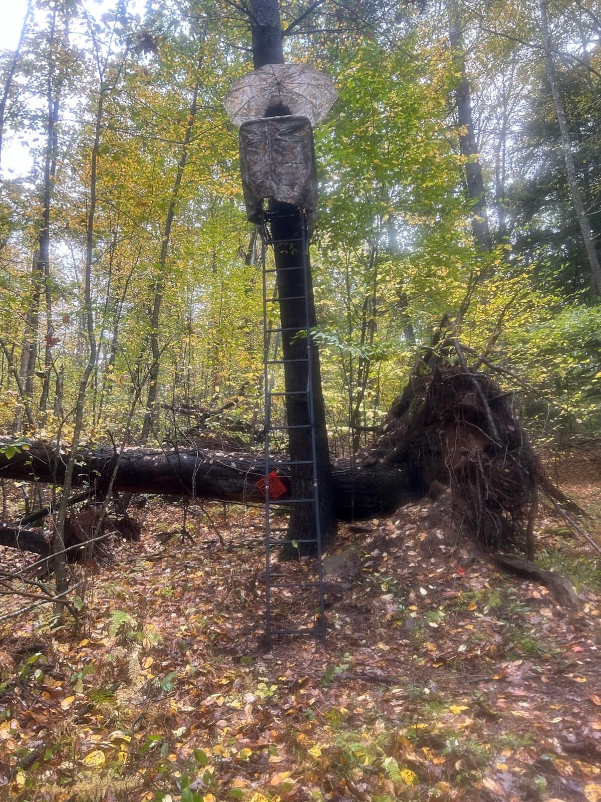 Muddy 1-Person Huntsman Deluxe Steel Ladder Tree Stand, 17 ft Tall | 300 lb Capacity customer photo 1