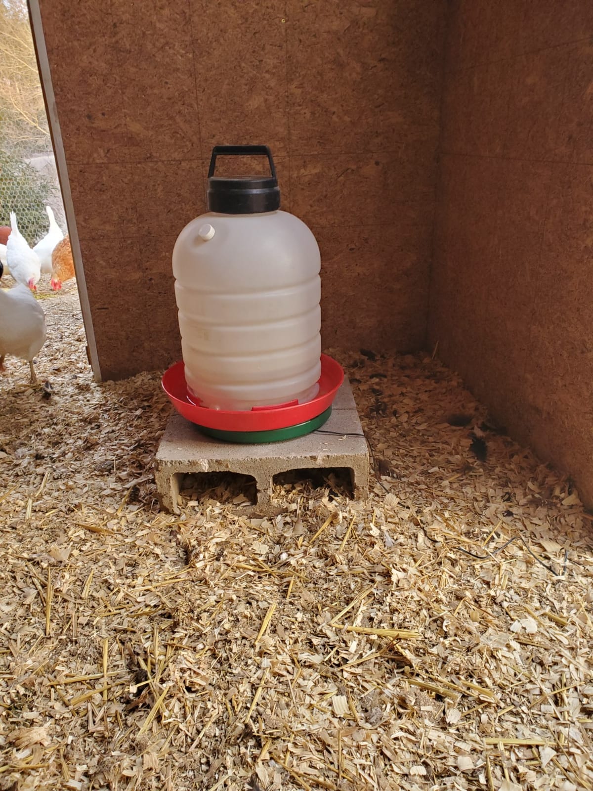 My Favorite Chicken Heated Poultry Waterer Base – 28W Electric Chicken Water Heater for Winter, Freeze-Proof to -20°F, Adjustable Heated Waterer Base for Chicken Waterers & Founts customer photo 1