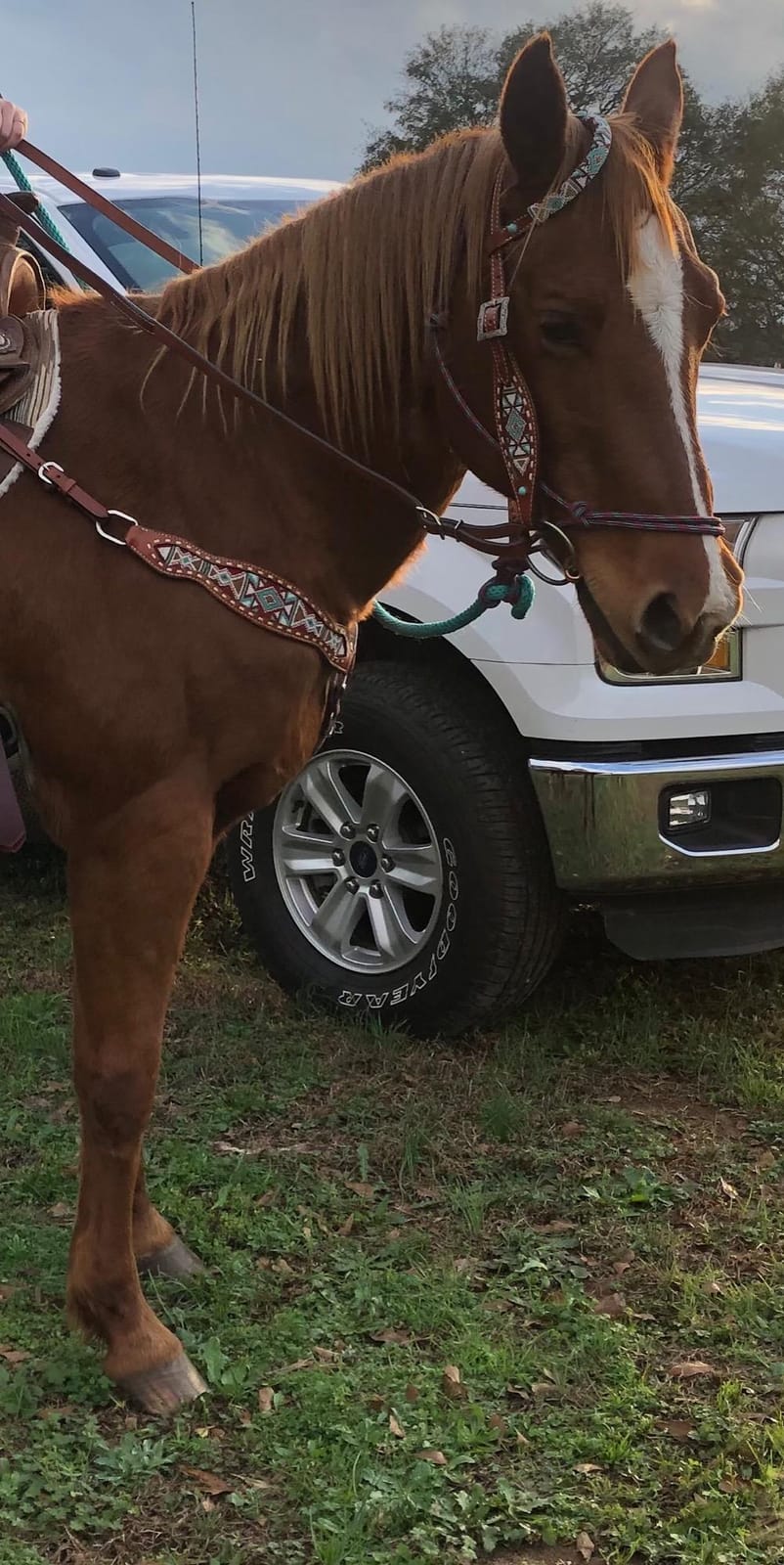 Showman Multi Color Navajo Beaded Leather Headstall, Breast Collar & Wither Strap Set customer photo 1