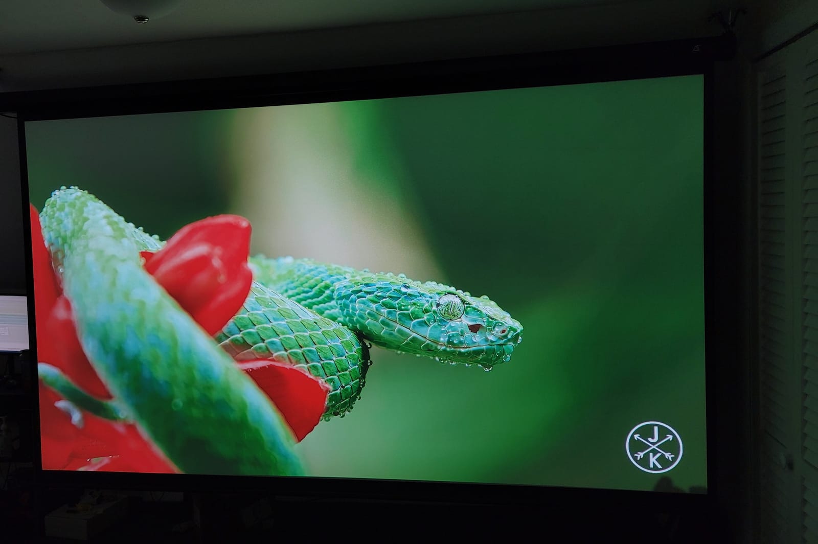 Akia Screens 110 inch Electric Motorized Projector Screen Retractable 16:9 8K 4K HD 3D Ceiling Wall Mount Black Projection Screen Office Home Theater Movie AK-MOTORIZE110H1 customer photo 1