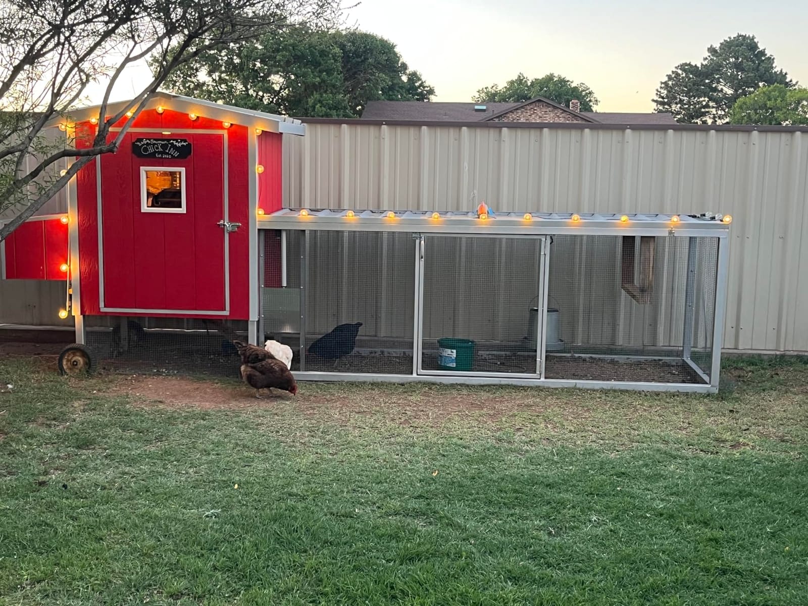 JVR Automatic Chicken Coop Door, Timer, Anti-Pinch, Aluminum Predator Proof customer photo 1
