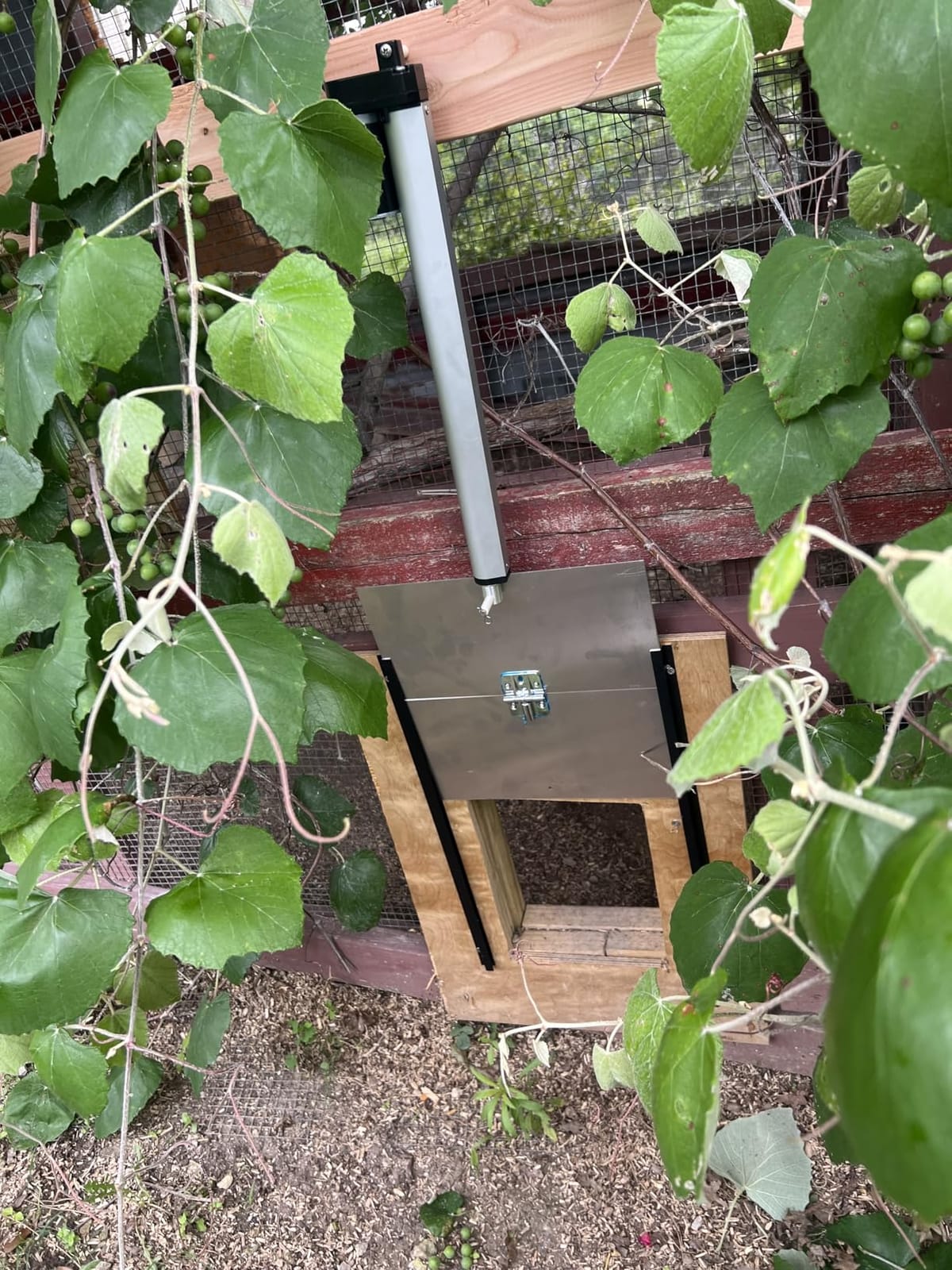 JVR Automatic Chicken Coop Door, Timer, Anti-Pinch, Aluminum Predator Proof customer photo 2
