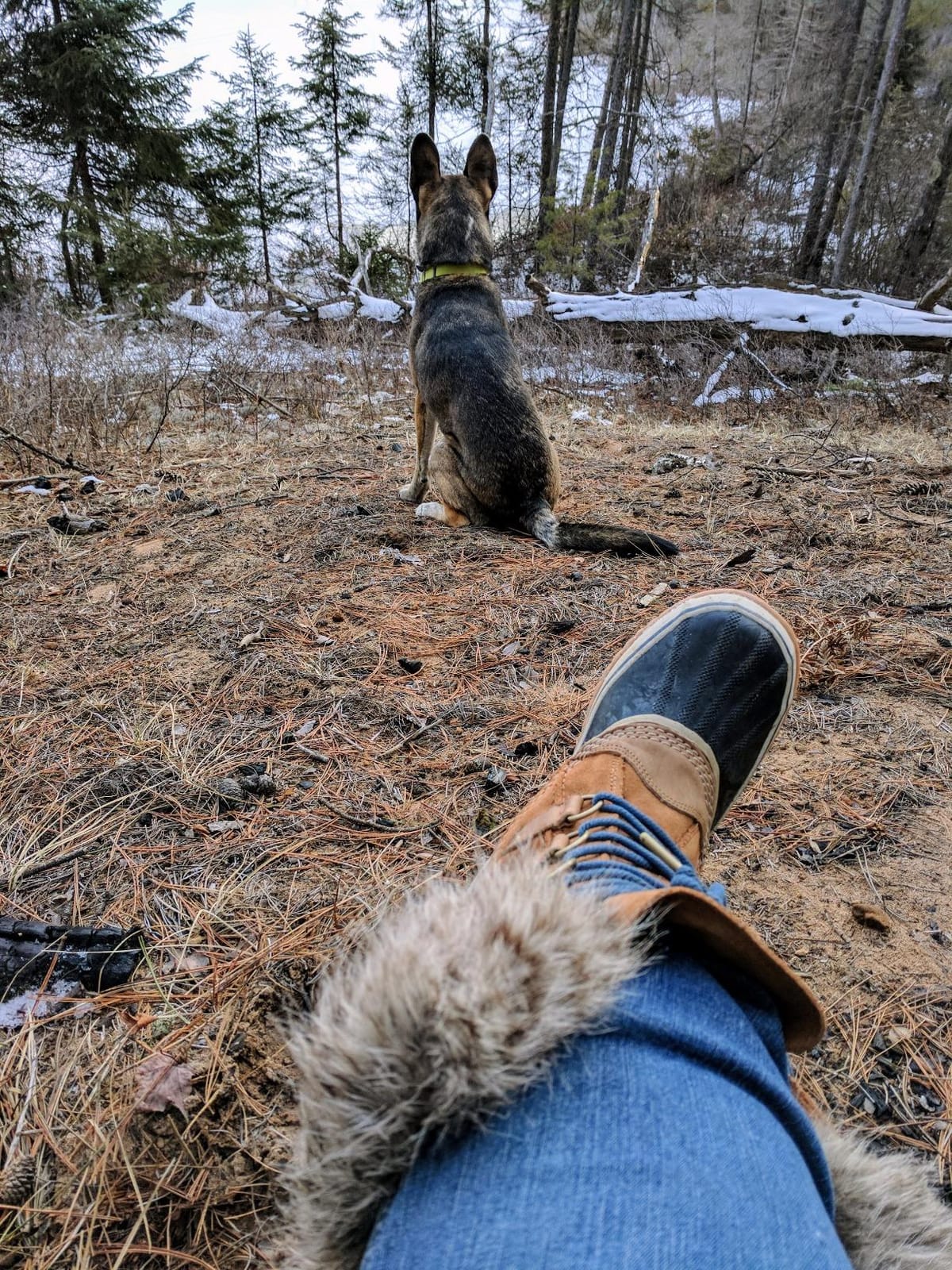Sorel Womens Joan of Arctic Waterproof Boots customer photo 1